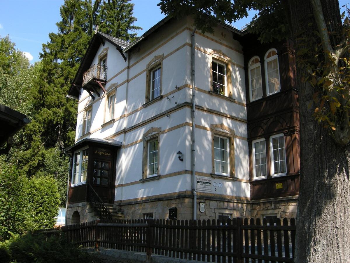 Villa Angelika Altenberg  Exterior foto